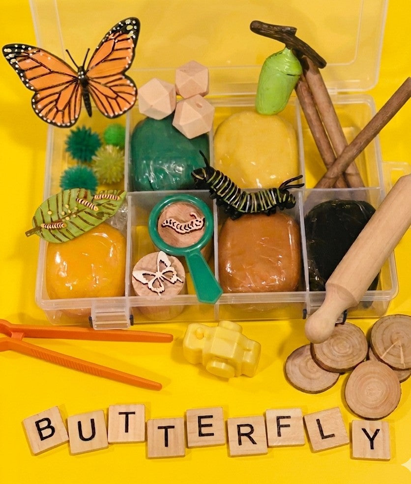 Life Cycle Discovery Kit- Large Kit